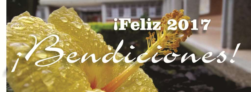 Feliz-2017